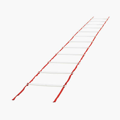 Steeden Speed Ladder 4m