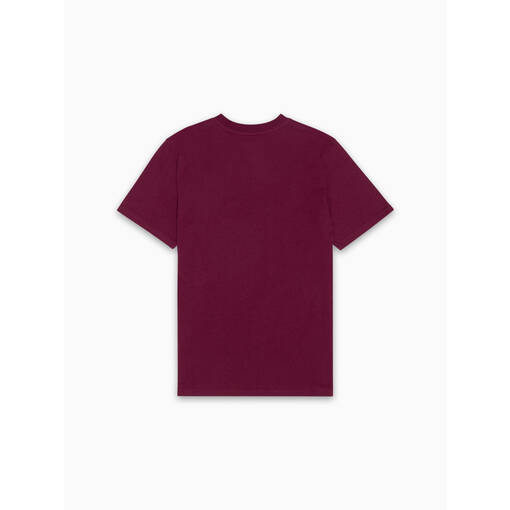 Cyclone Maroon Tee2