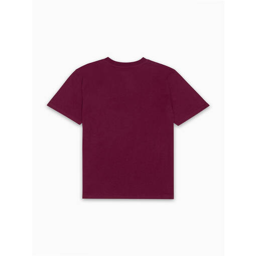 Youth Cyclone Maroon Tee2