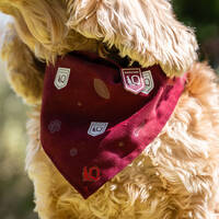 2026 Pet Membership1