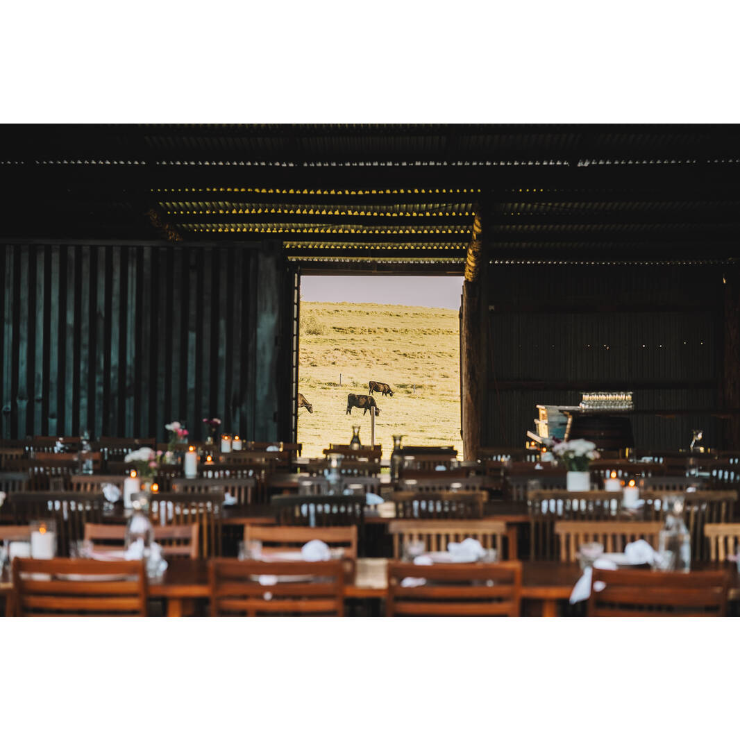 COMING SOON - QLD Maroons Regional Dinner0