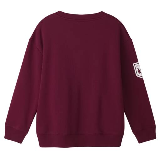 Youth Maroon Graphic Crew1